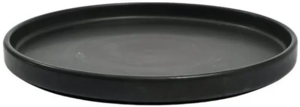 TTI PA328 Dinner Plate