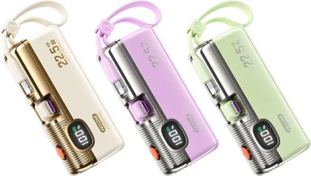 Flycross 5000 mAh Power Bank