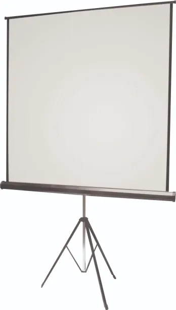 Parrot Products Premium Tripod 1:1 (152 x 152 cm) Projector Screen (Width 147 cm x 147 cm Height)