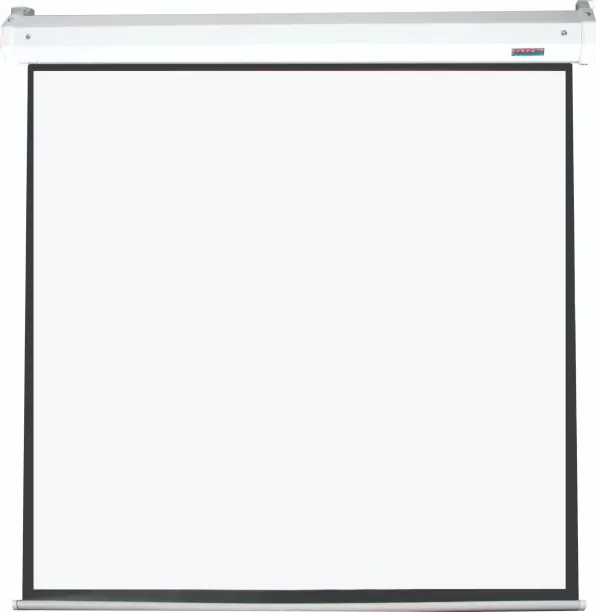 Parrot Products Premium Electric 1:1 (244 x 244 cm) Projector Screen (Width 234 cm x 234 cm Height)