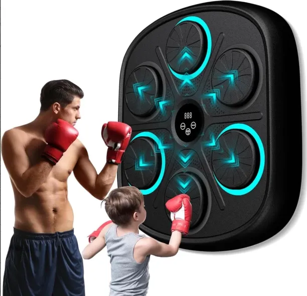 Fariedl Bluetooth Music Boxing Target (Black) Hanging Bag
