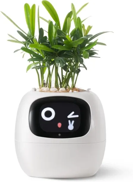 Flycross Smart pet Planter Robot Guidance on Plant Care with Emojis, Adorable Plant Companion with …