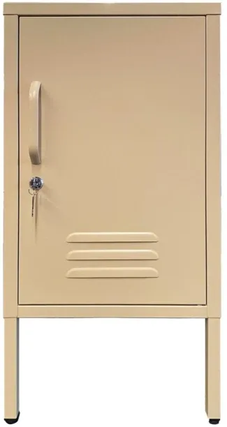 Linx Stump Safe Locker