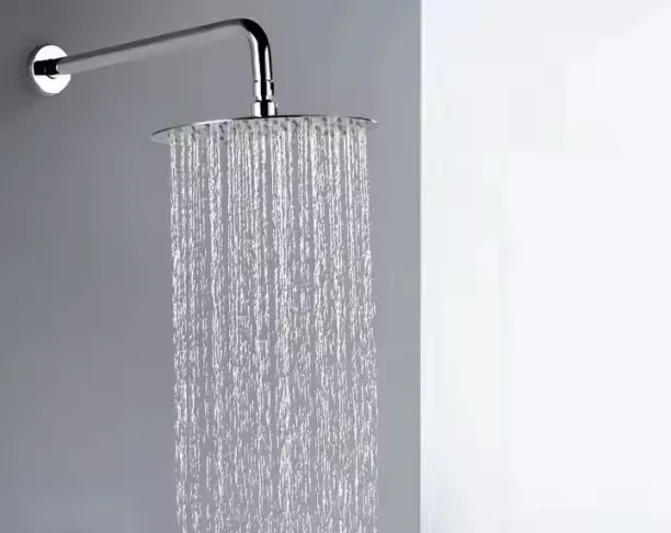DS Handheld Shower Head