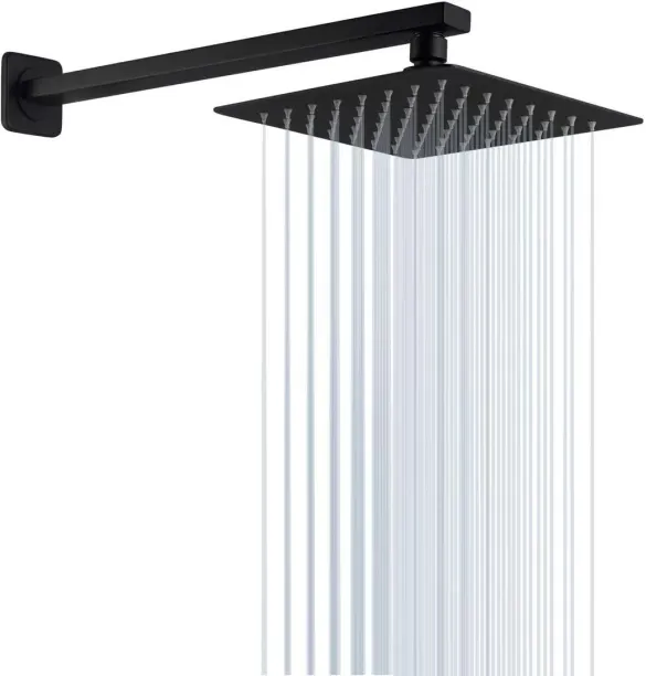 AA Handheld Shower Head