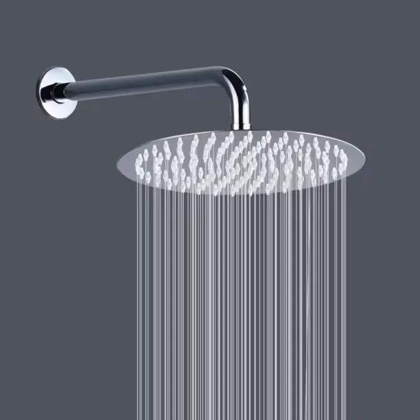 DS Handheld Shower Head