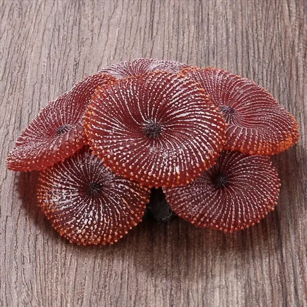 XiYuaYE SF3-380 Decorative Showpiece  -  4.6 cm