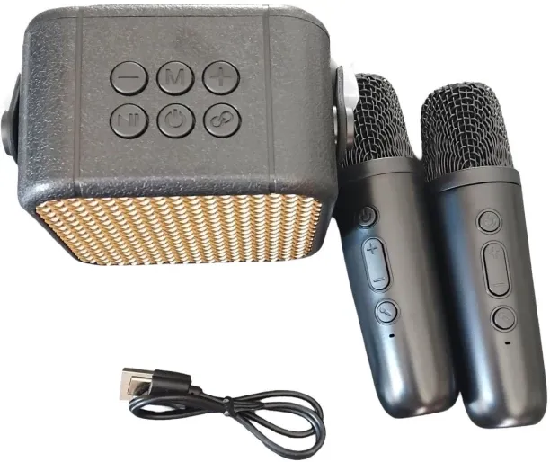 karaoke speaker Karaoke Speaker Bluetooth Party Speaker 2.0