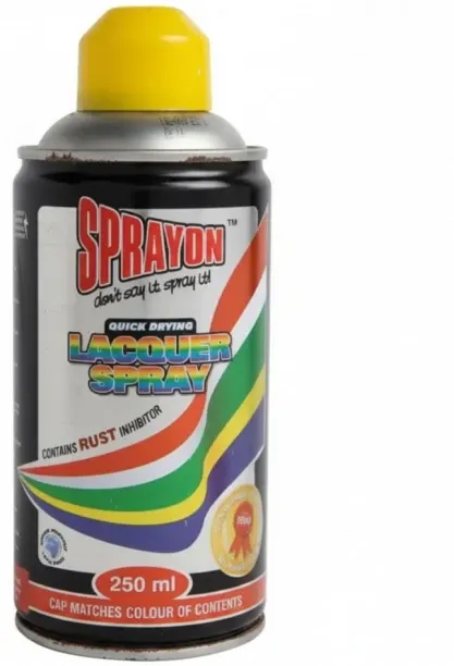 Sprayon 658SPP2505 Gloss Flammable Spray Paints