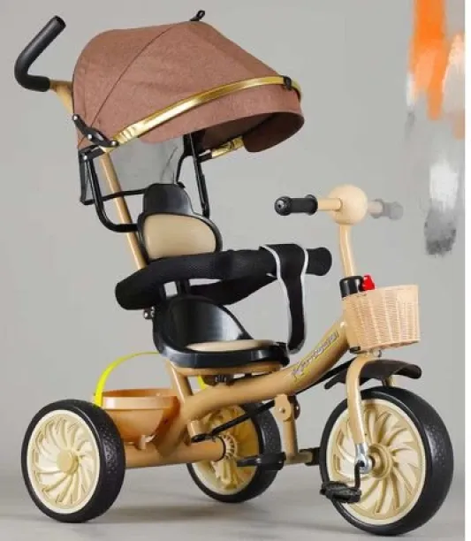 fancystuff 3 in 1 Kids Travel Stroller Turns into Trike Ultra Design Stroller Pram
