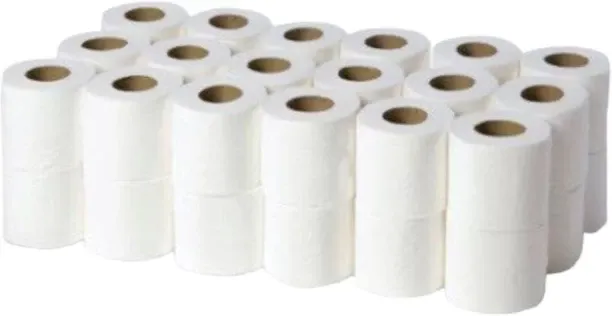 SMTE 2 Ply Toilet Paper Roll