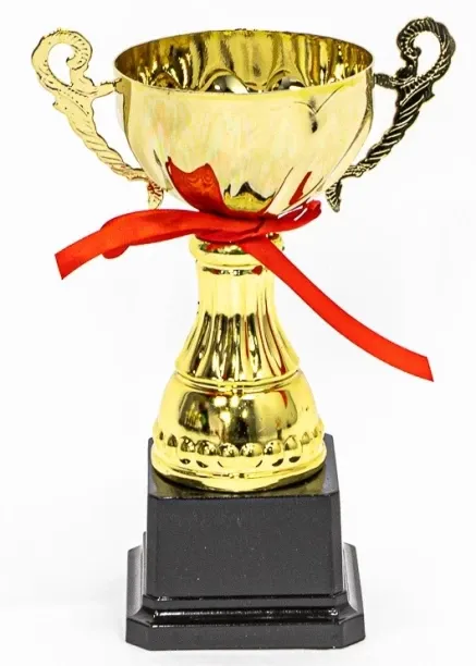 Terrific Trophies Cup Trophy + Handle (Small) Boxing, Cricket, Netball, Rugby