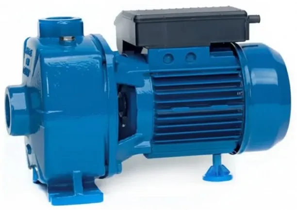 Speroni 309NBM200 Centrifugal Water Pump