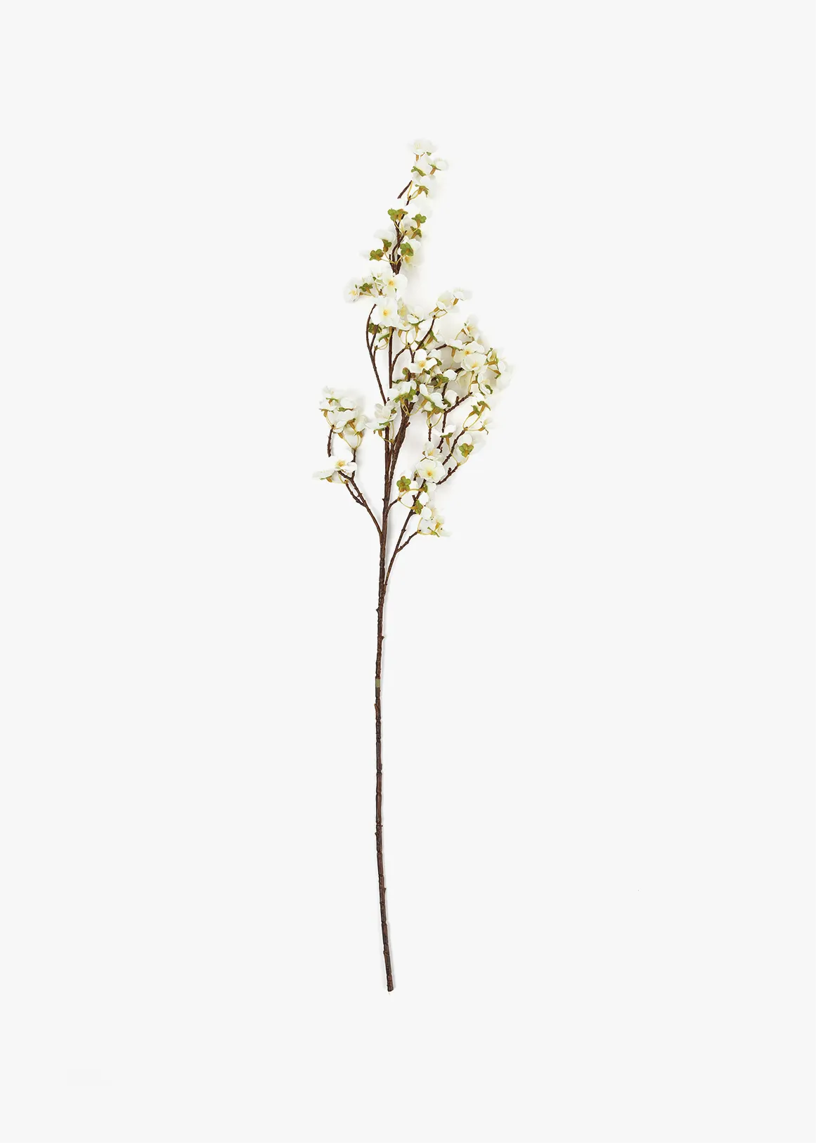 Blossom Stem