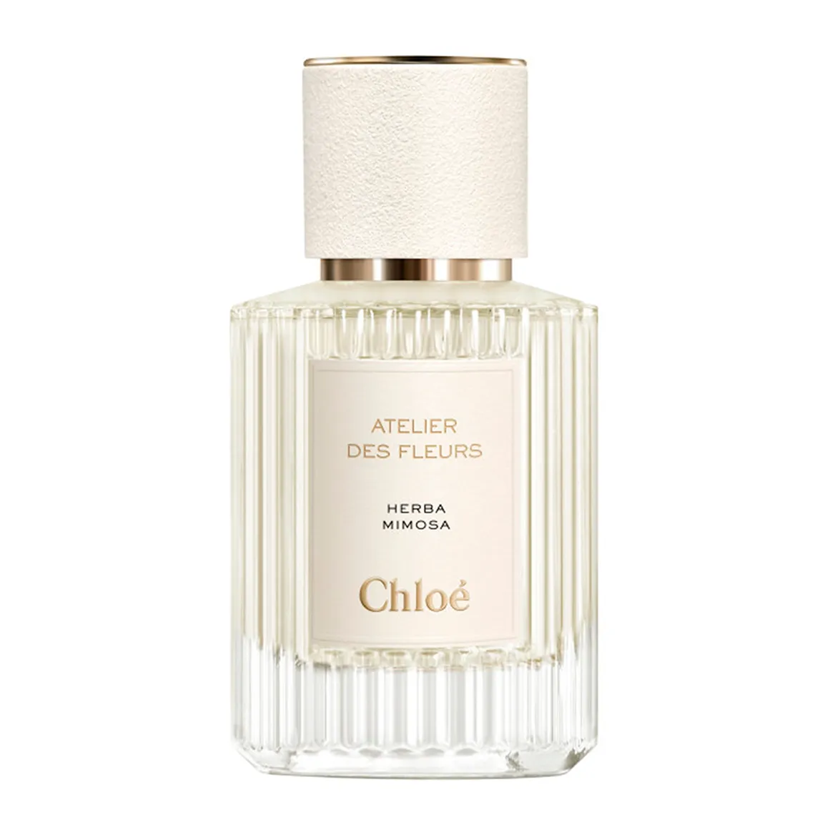 Atelier des Fleurs Herba Mimosa Eau de Parfum for Women